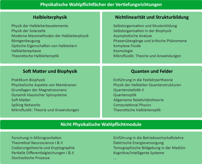 WahlpflichtMSc_final_korr